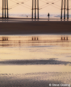 Evening StrollTS1(0373).0.jpg